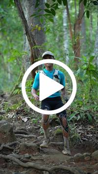 BIB:  <button type="button" onclick="openModal(27642561)" class="btn btn-primary btn-sm float-right" data-toggle="modal" data-target=".modal-high-quality">
                <i class="fa fa-download"></i> Download
                </button>